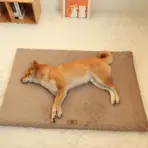 3D Foam Pet Bed With Removable Washable Faux Fur Cover Orthopedic Waterproof Dog Bed For Crate Anti-Slip Bottom Dog Bed - Image 2