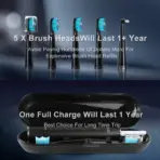 Seago Electric Toothbrush USB Rechargeable Adult 360 Days Long Battery Life IPX7 4 Replacement Heads Travel Box  SG-575 - Image 3
