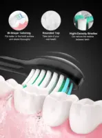 Sonic Electric Toothbrush Smart Ultrasonic Dental Teeth Whitening Rechargeable Adult Tooth Brush Sarmocare S100 With8 Brush Head - Image 2