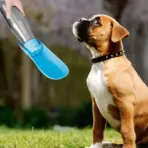 Portable Dog Water Bottle Large Capacity Dogs Cats Drinking Bottle Outdoor Walking Travel Puppy Water Dispenser Pets Supplies - Image 4