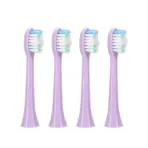 Sonic Electric Toothbrush Smart Ultrasonic Dental Teeth Whitening Rechargeable Adult Tooth Brush Sarmocare S100 With8 Brush Head - Image 12