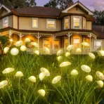 Solar Garden Lights Dual Mode LED Solar Mushroom Lights Waterproof Decor Yard Patio Pathway Jellyfish for Garden Ambiance - Image 3