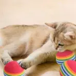 5/10/30PCS Rainbow EVA Cat Toys Ball Interactive Cat Dog Play Chewing Rattle Scratch EVA Ball Training Balls Pet Toys Supplies - Image 4
