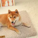 3D Foam Pet Bed With Removable Washable Faux Fur Cover Orthopedic Waterproof Dog Bed For Crate Anti-Slip Bottom Dog Bed - Image 4