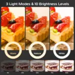 Ring Light with Stand and Phone Holder USB Ring Light with Clamp Overhead Camera Selfie Flexible Desk Tripod for Photography - Image 2